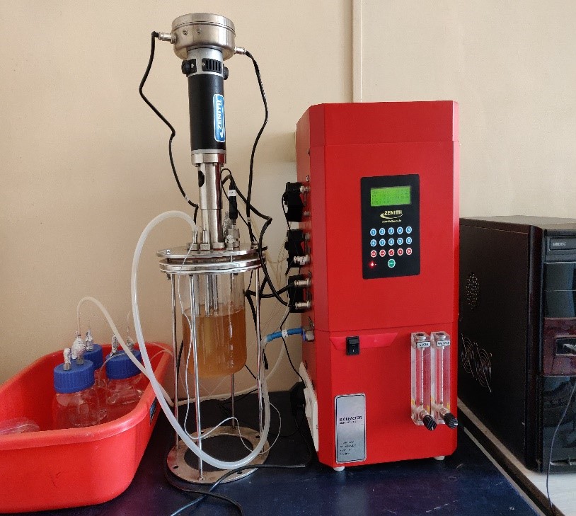Fermenter
